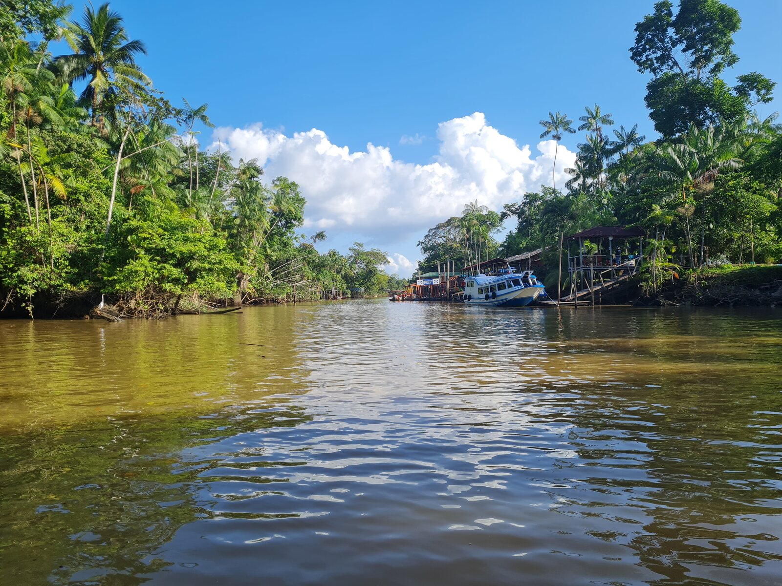 Canal cercado pela floresta na Ilha do Combu